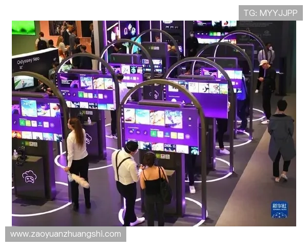 亚博体育娱乐官网：利用亚博体育娱乐官网进行体育竞猜的技巧与风险控制策略