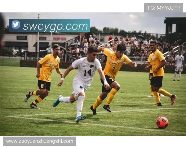 开云体育app下载官网：为体育爱好者提供的开云体育官方app下载功能全面解析