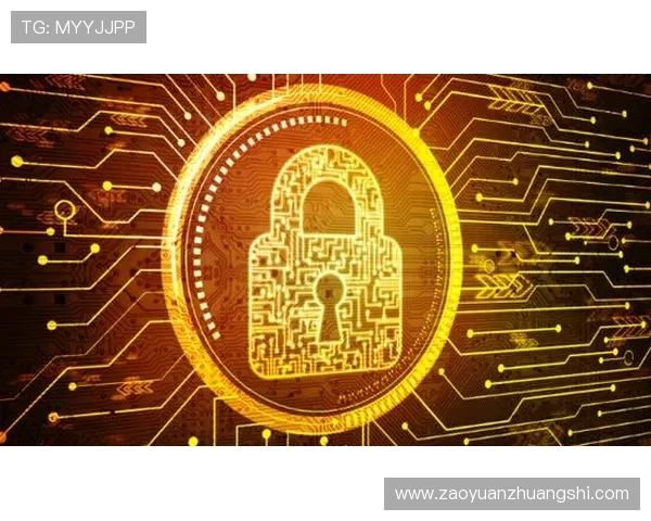 华体会国际版：安全稳定的支付系统保障用户的资金安全与隐私保护