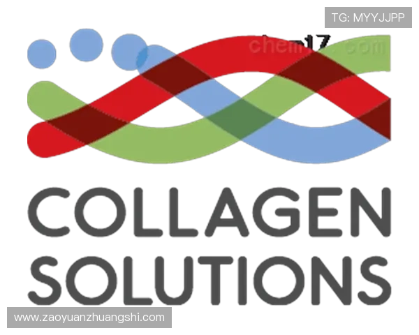 华体会hth体育中国客户服务与技术支持详细解答用户常见问题与反馈渠道 华体会hth体育中国客户服务与技术支持详细解答用户常见问题与反馈渠道